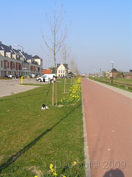 Onze Friese Stabij Pup - 125.JPG