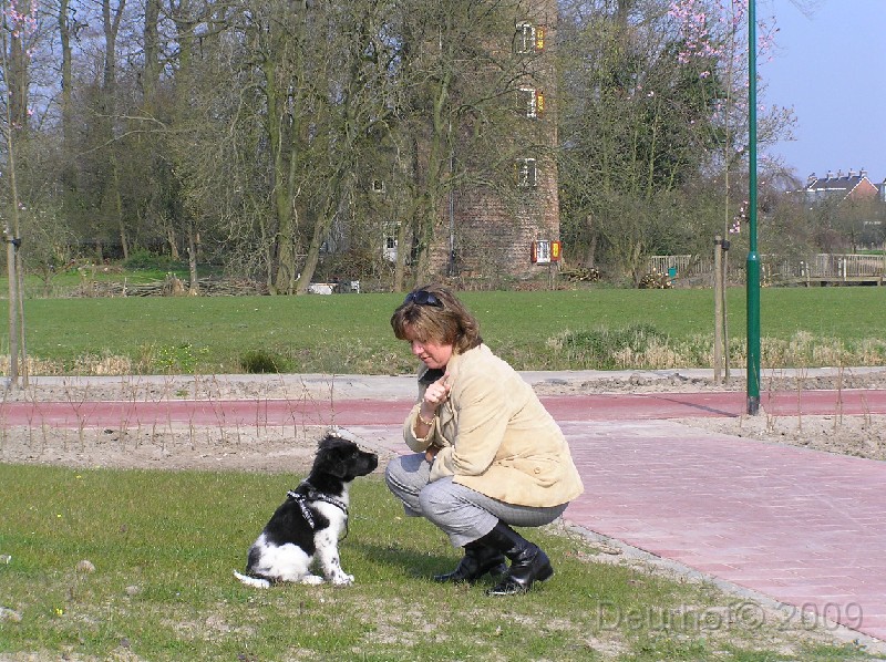 Onze Friese Stabij Pup - 138.JPG