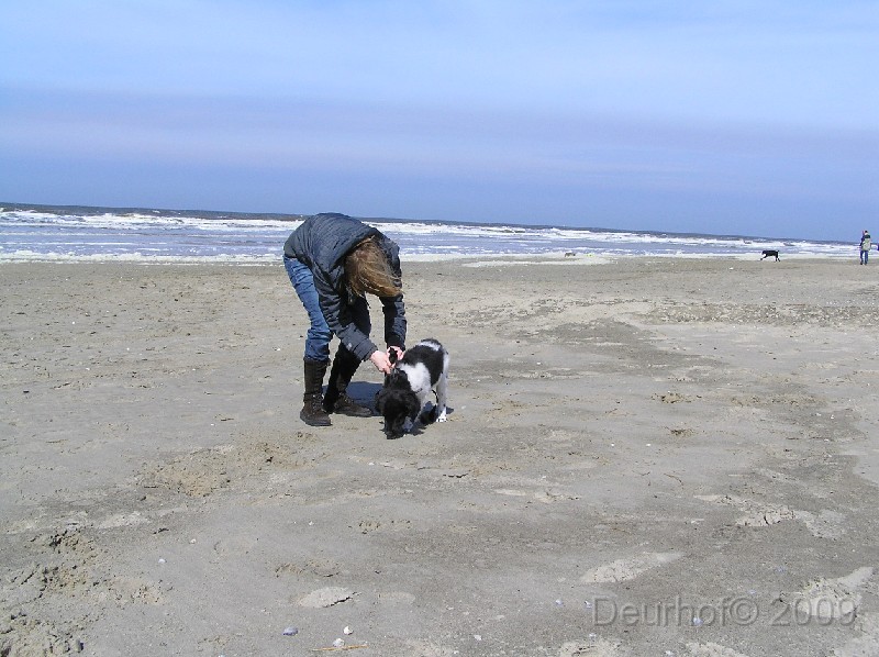 Onze Friese Stabij Pup - 194.JPG